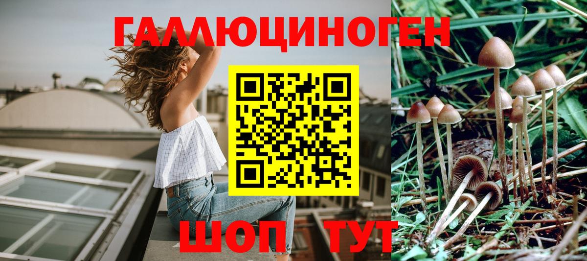 Псилоцибиновые грибы прущие грибы  Вход с VPN  Дмитров 